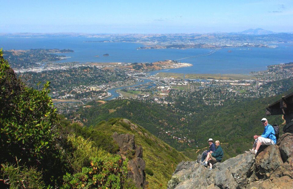 Muir Woods, Giant Redwoods and Sausalito Half-Day Trip.jpg
